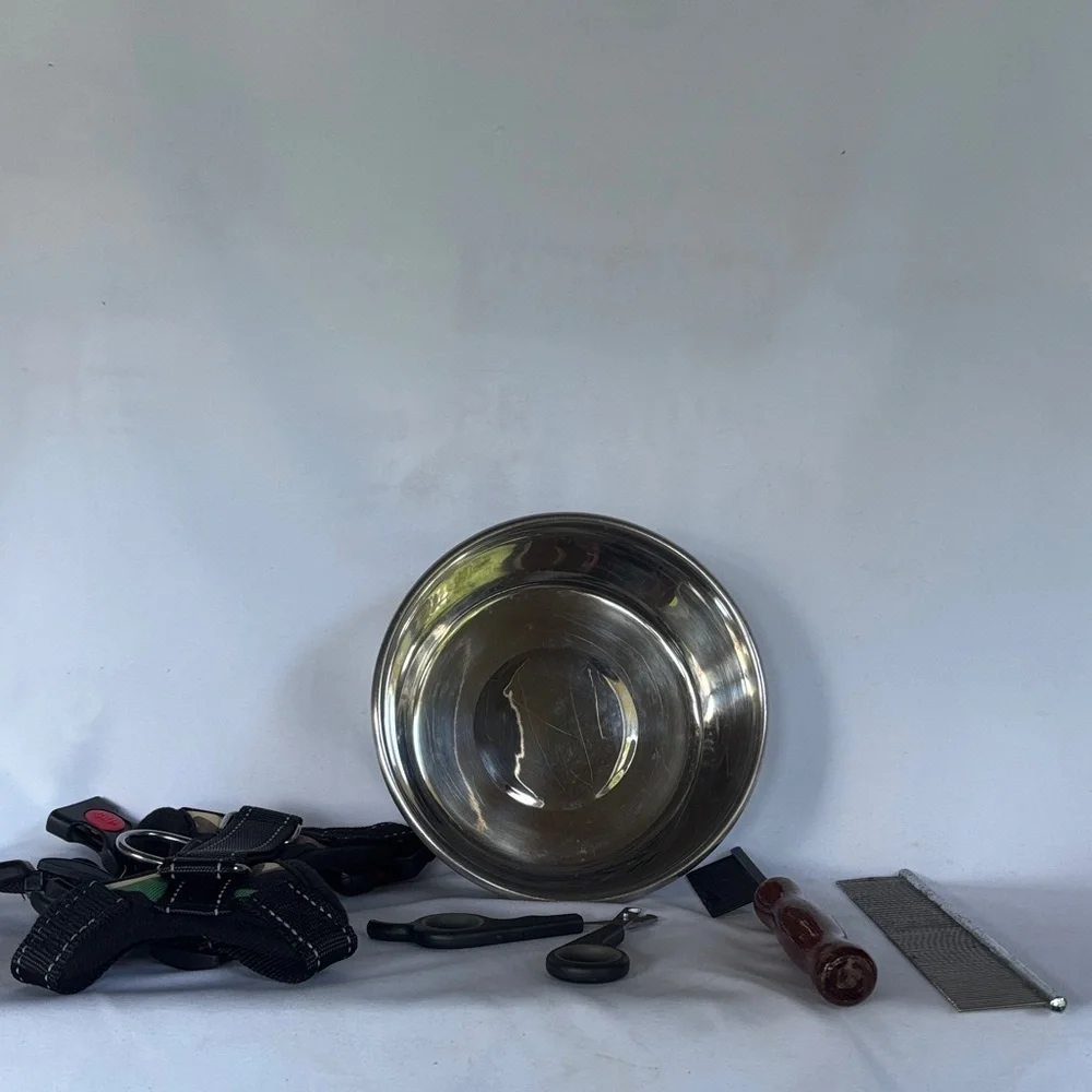 Set of 5 items Stainless Steel Pet Bowl with Grooming Kit - Silver